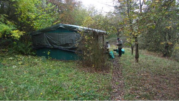 Die Verwahrlosung nahm zu